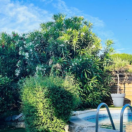 Piscine Cosy, 3 Chambres, 3 Sdb, Havre De Paix A 10 Min Des Plages Моґійо Екстер'єр фото
