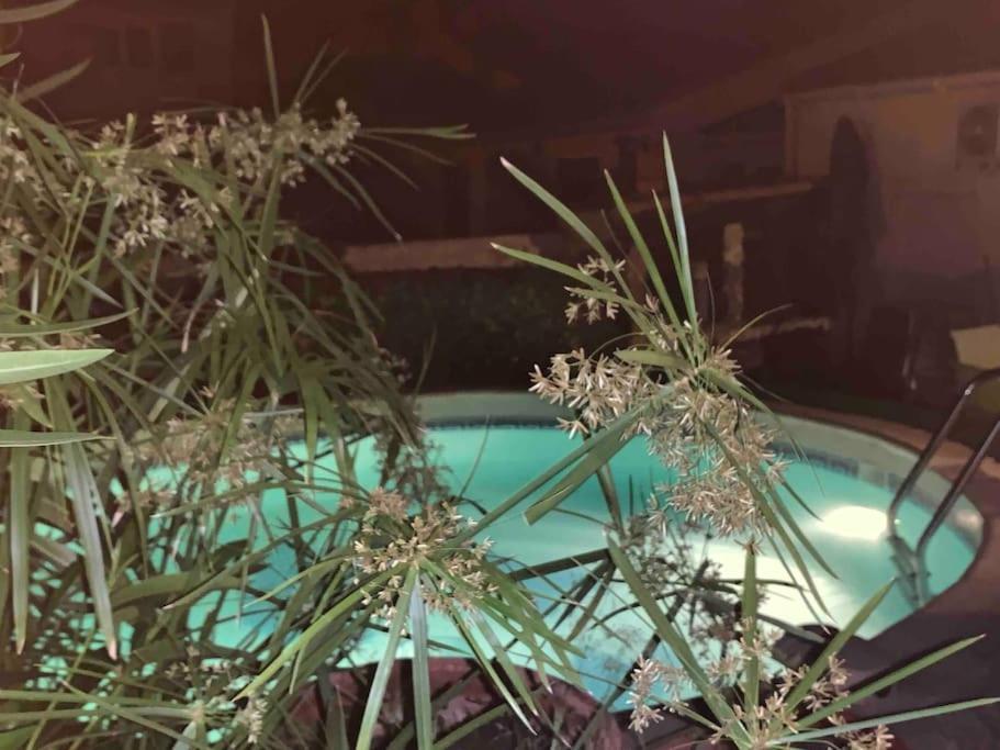 Piscine Cosy, 3 Chambres, 3 Sdb, Havre De Paix A 10 Min Des Plages Моґійо Екстер'єр фото