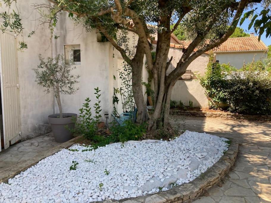 Piscine Cosy, 3 Chambres, 3 Sdb, Havre De Paix A 10 Min Des Plages Моґійо Екстер'єр фото