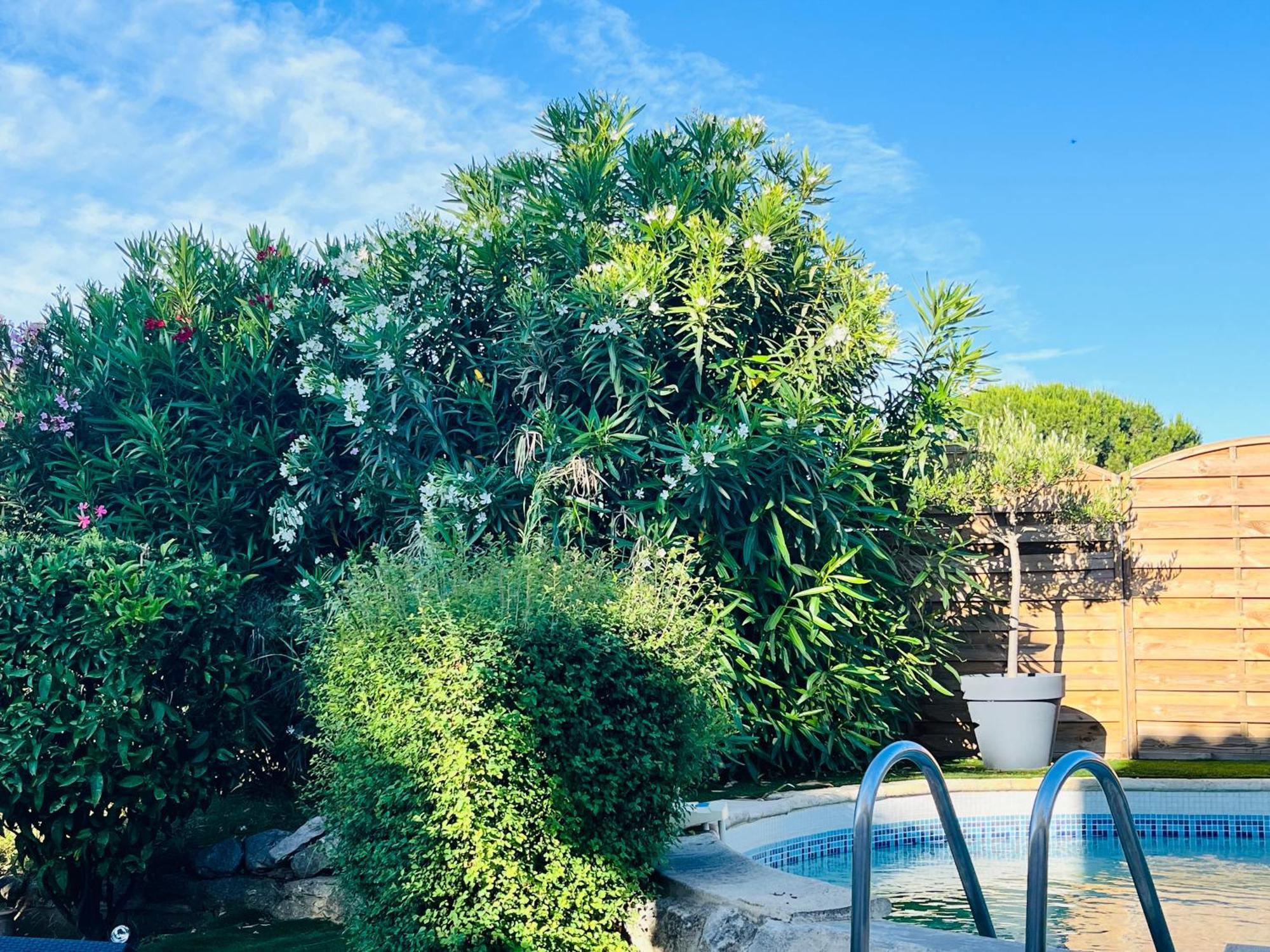 Piscine Cosy, 3 Chambres, 3 Sdb, Havre De Paix A 10 Min Des Plages Моґійо Екстер'єр фото